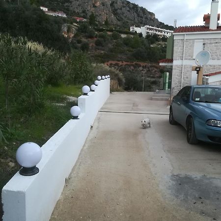 Stone House In Olive Grove Villa Толон Екстериор снимка