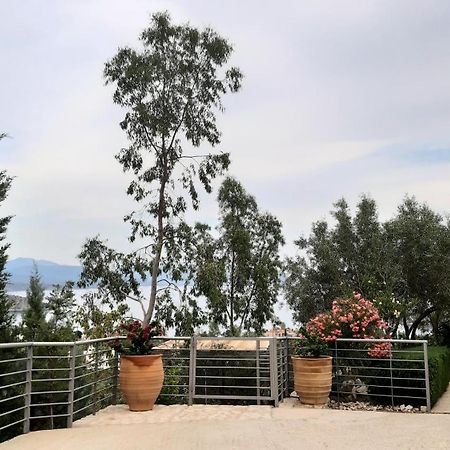 Stone House In Olive Grove Villa Толон Екстериор снимка
