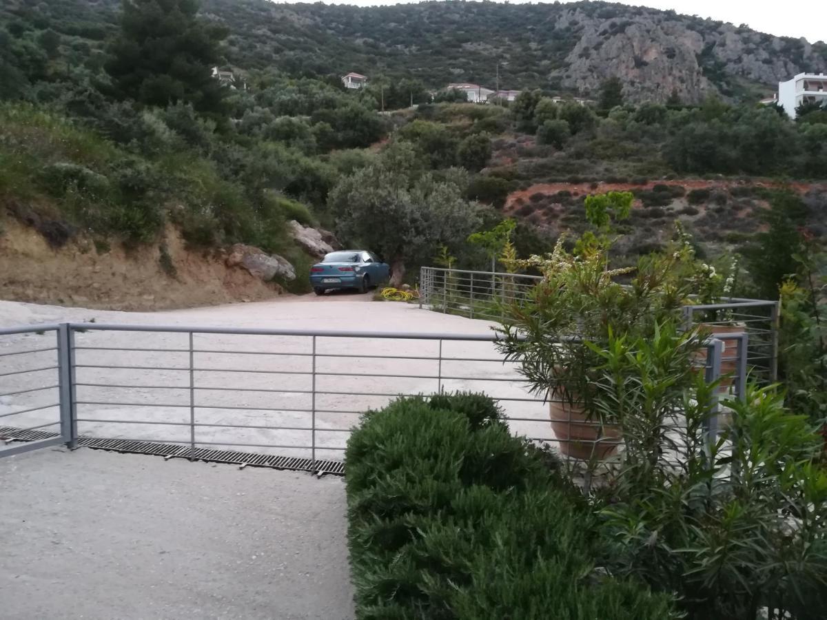 Stone House In Olive Grove Villa Толон Екстериор снимка
