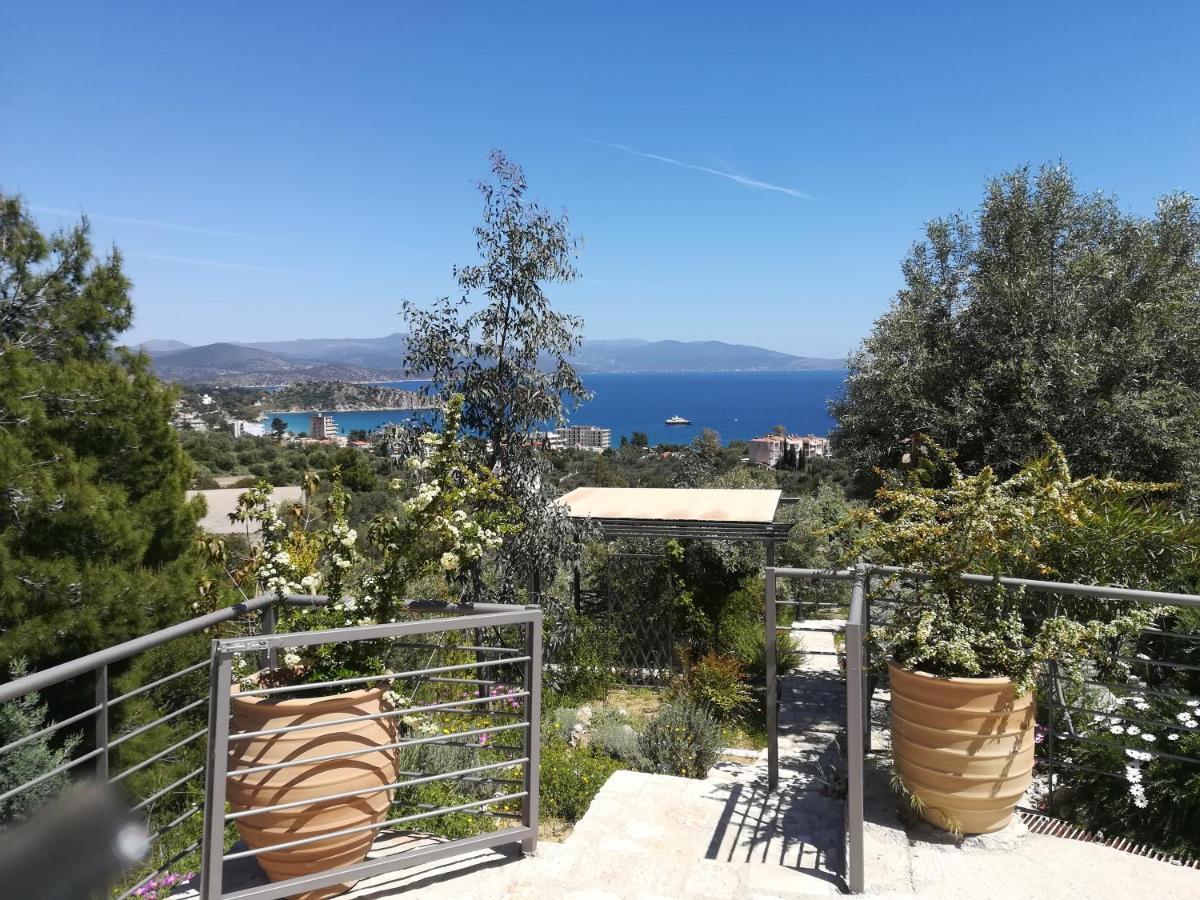 Stone House In Olive Grove Villa Толон Екстериор снимка