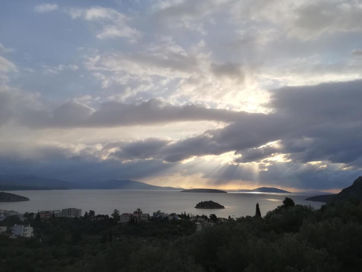 Stone House In Olive Grove Villa Толон Екстериор снимка
