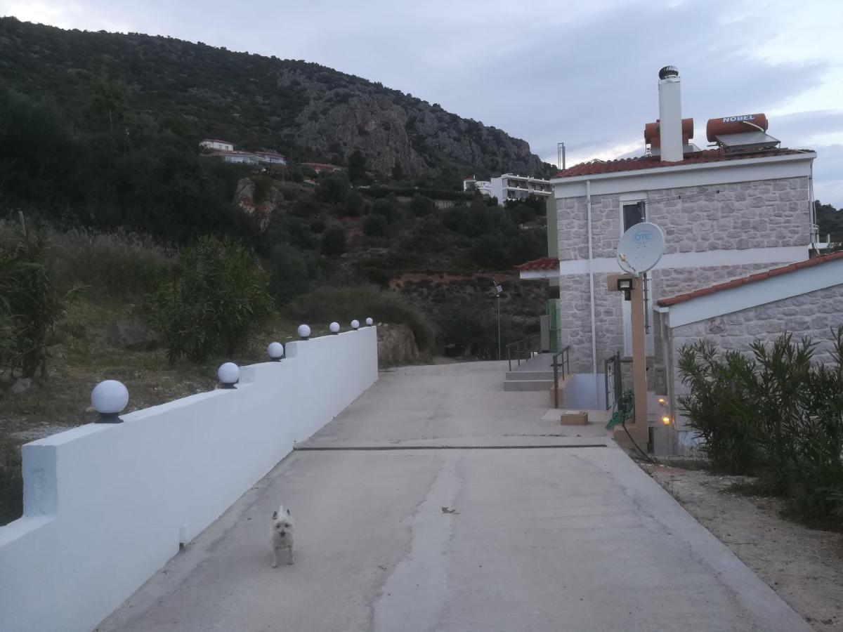 Stone House In Olive Grove Villa Толон Екстериор снимка