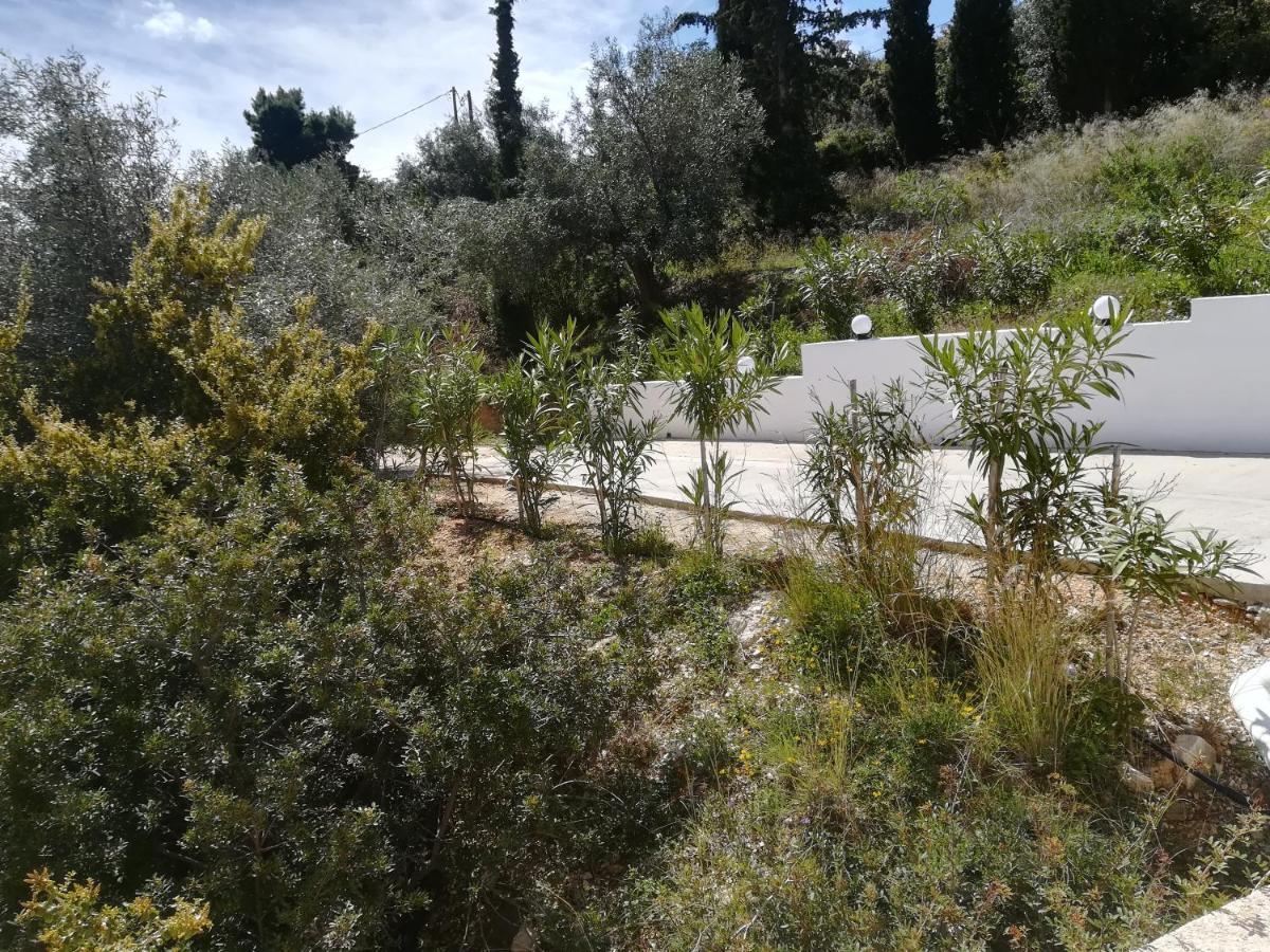 Stone House In Olive Grove Villa Толон Екстериор снимка