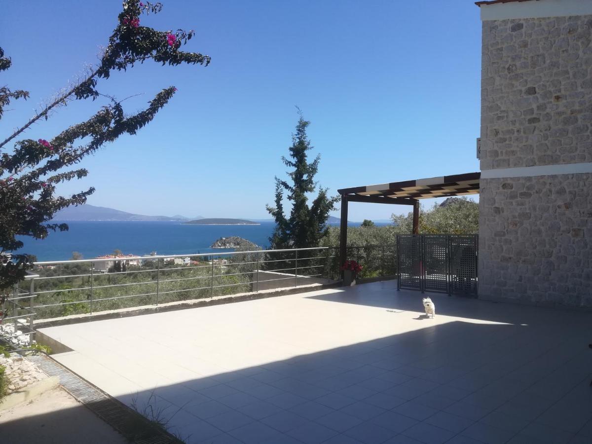 Stone House In Olive Grove Villa Толон Екстериор снимка