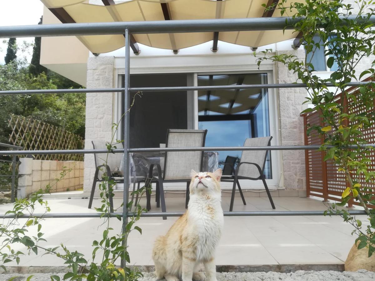 Stone House In Olive Grove Villa Толон Екстериор снимка