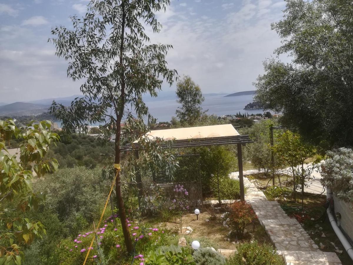 Stone House In Olive Grove Villa Толон Екстериор снимка