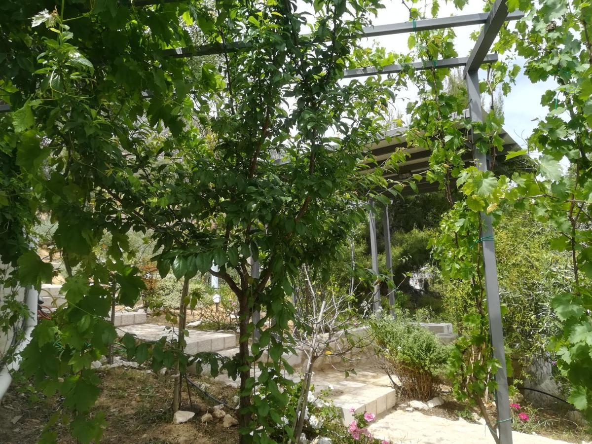 Stone House In Olive Grove Villa Толон Екстериор снимка