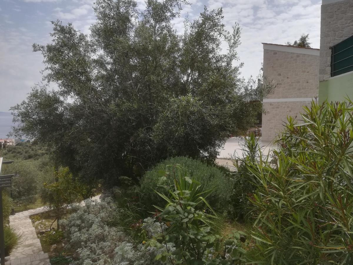 Stone House In Olive Grove Villa Толон Екстериор снимка
