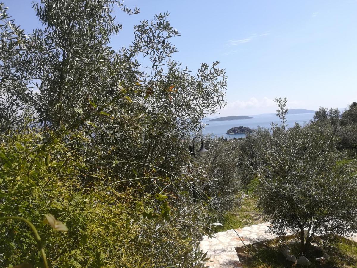 Stone House In Olive Grove Villa Толон Екстериор снимка