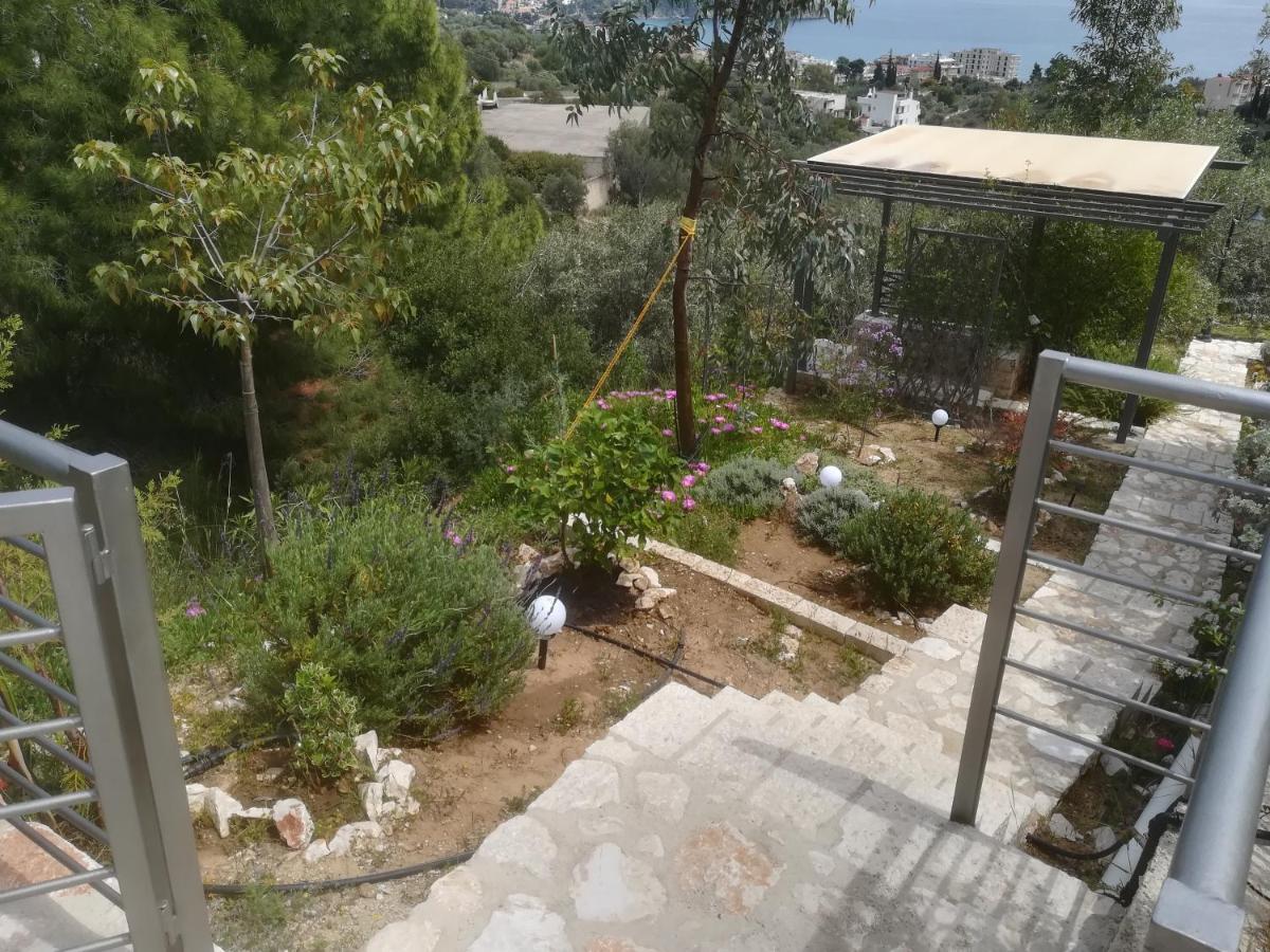 Stone House In Olive Grove Villa Толон Екстериор снимка