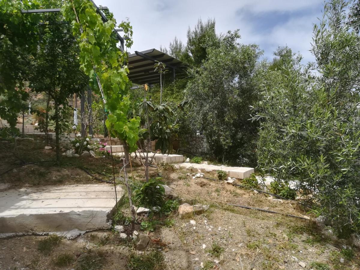 Stone House In Olive Grove Villa Толон Екстериор снимка