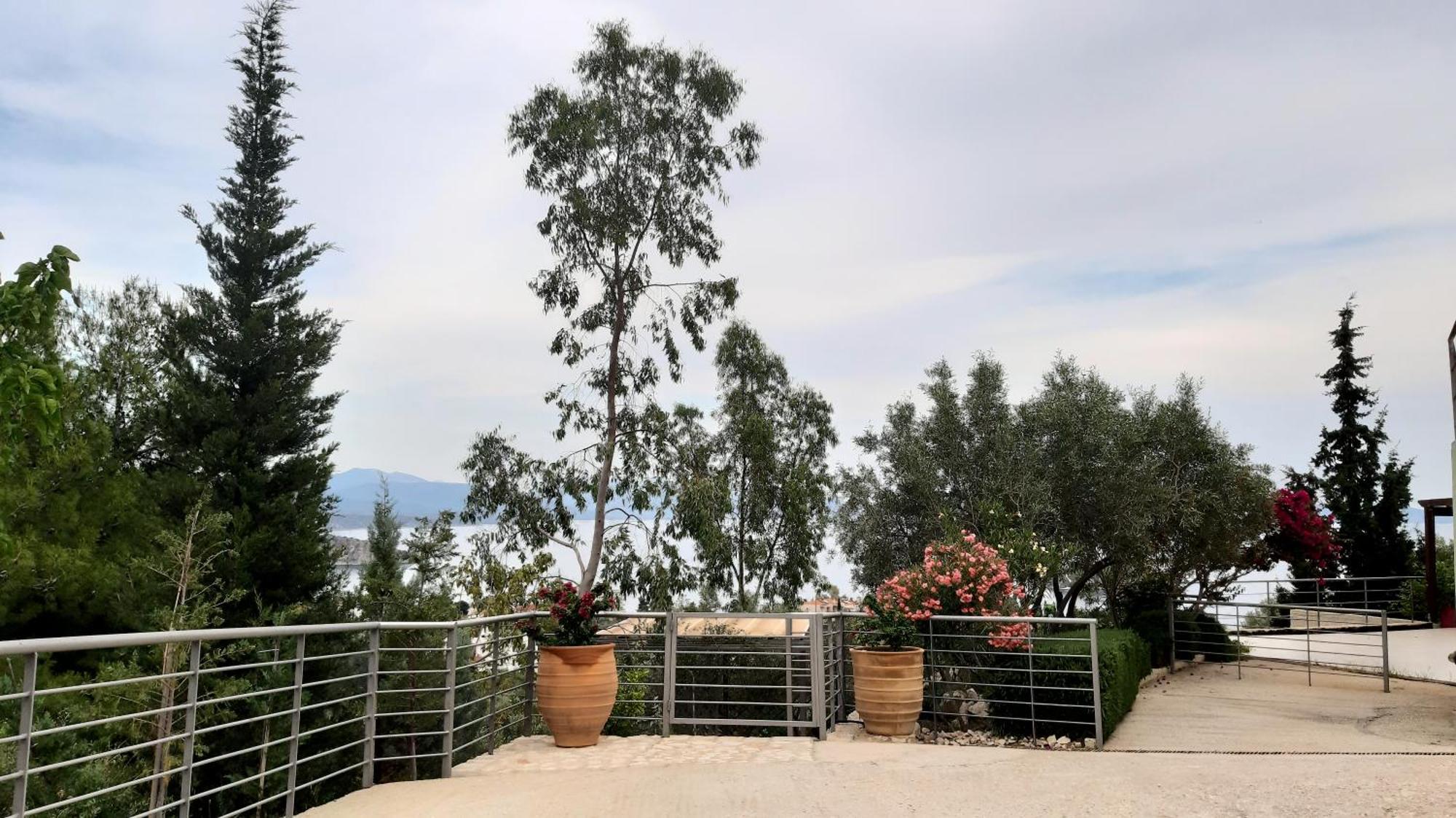 Stone House In Olive Grove Villa Толон Екстериор снимка