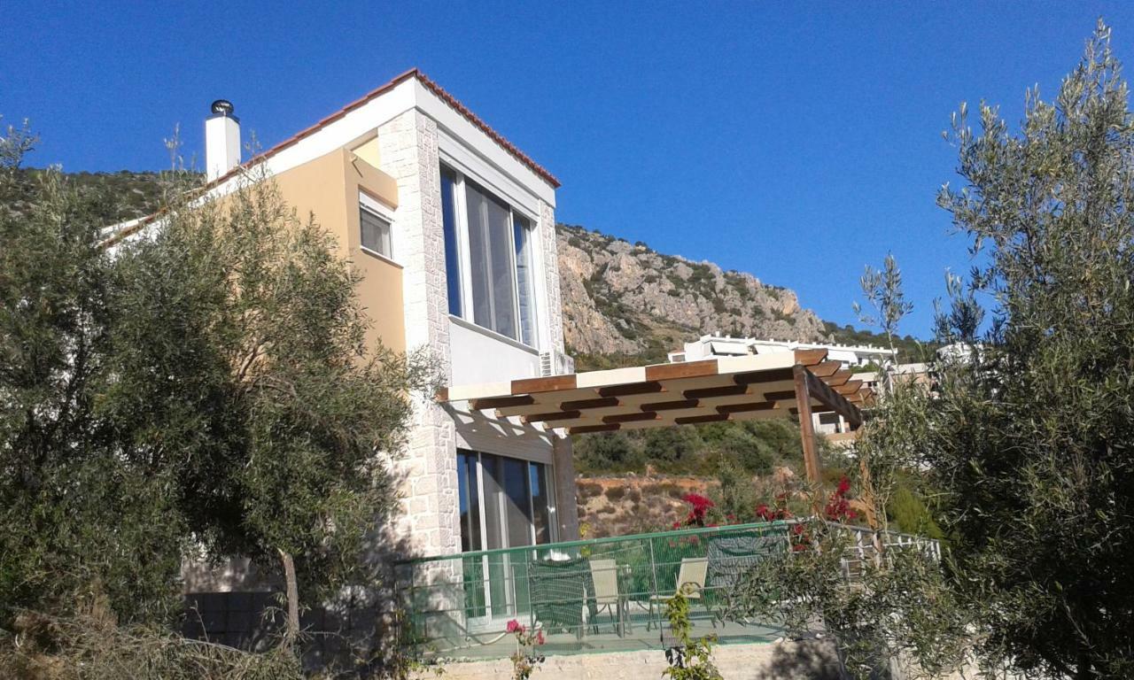 Stone House In Olive Grove Villa Толон Екстериор снимка