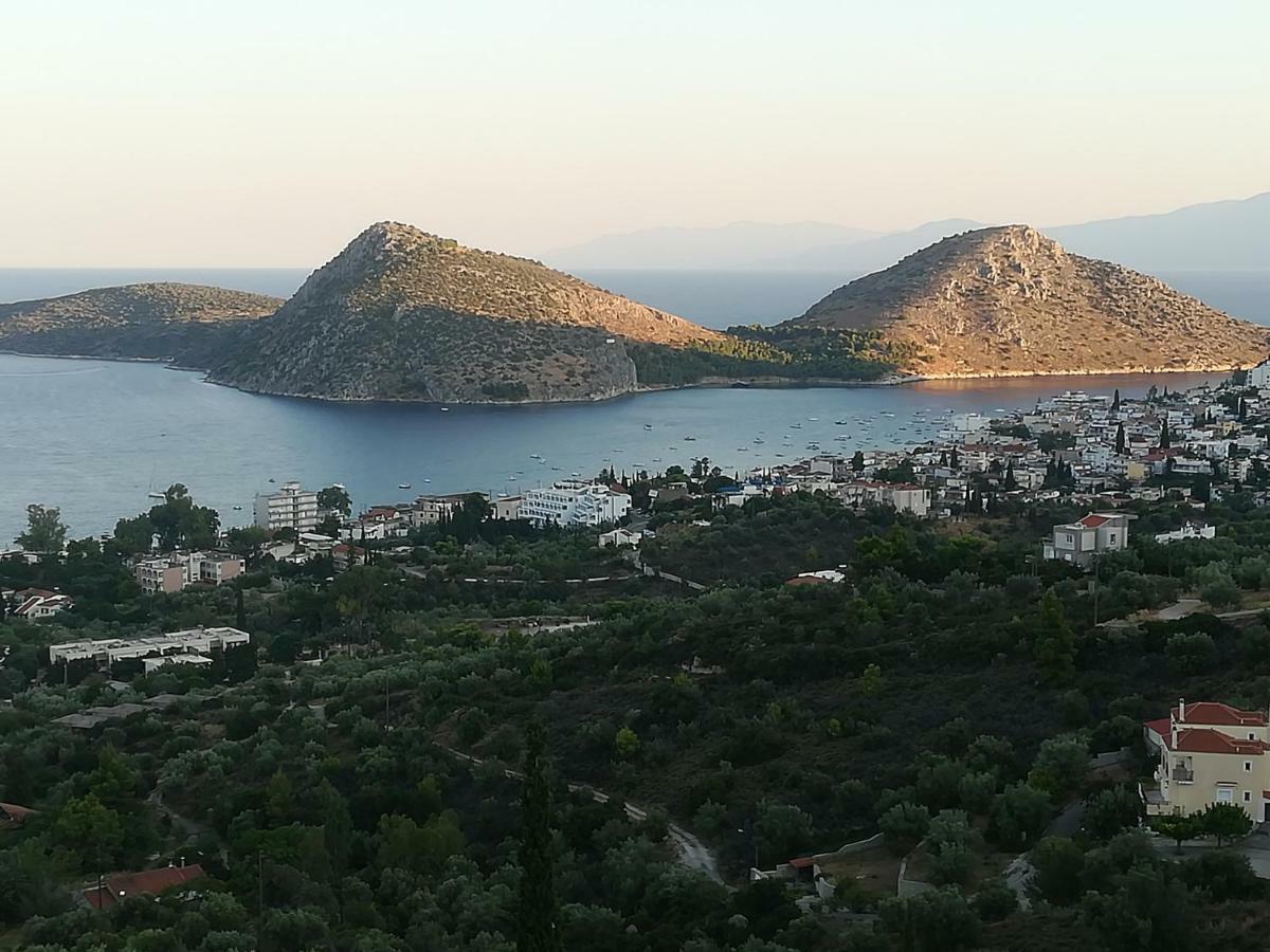 Stone House In Olive Grove Villa Толон Екстериор снимка