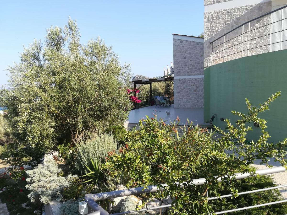 Stone House In Olive Grove Villa Толон Екстериор снимка