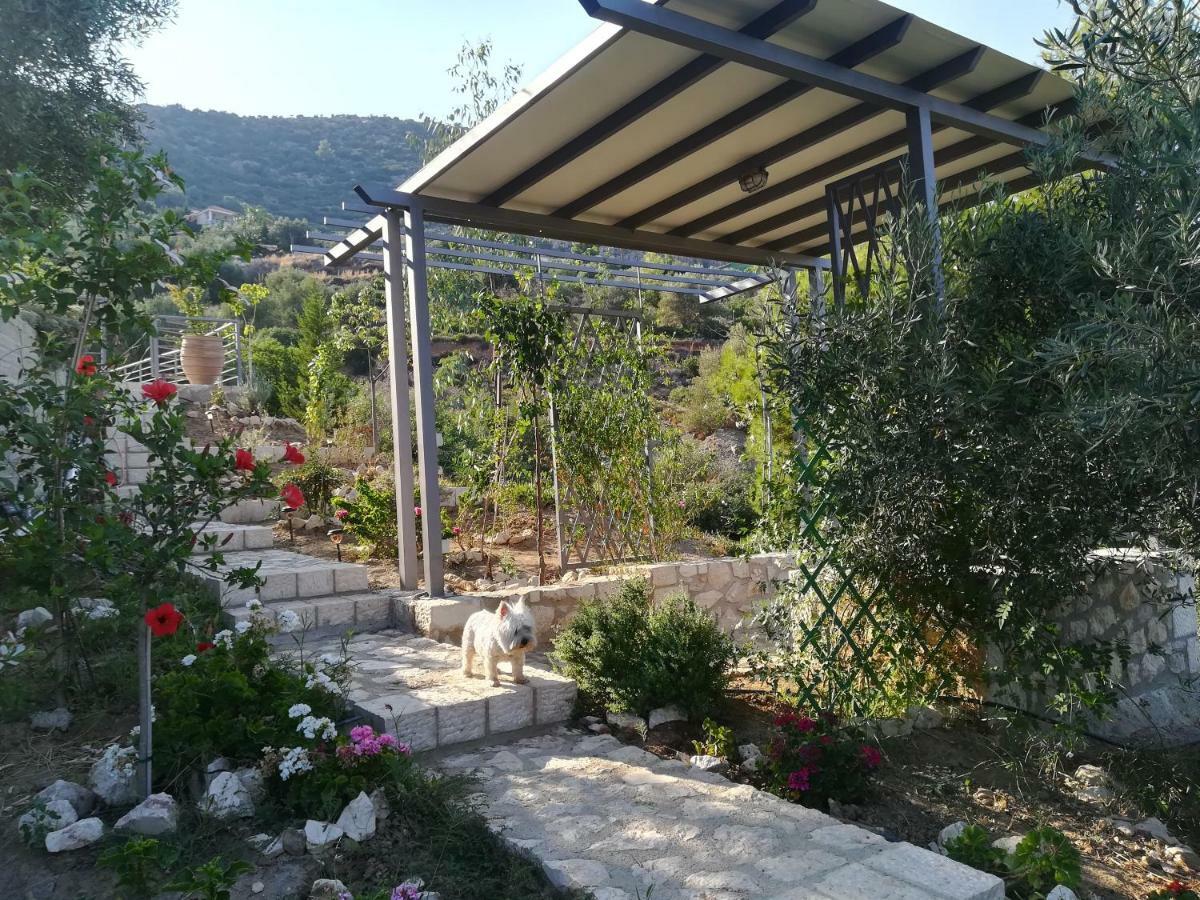 Stone House In Olive Grove Villa Толон Екстериор снимка
