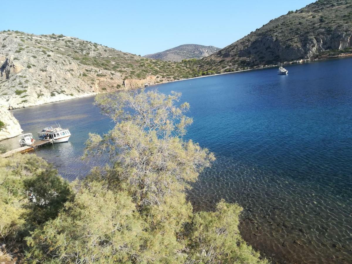 Stone House In Olive Grove Villa Толон Екстериор снимка