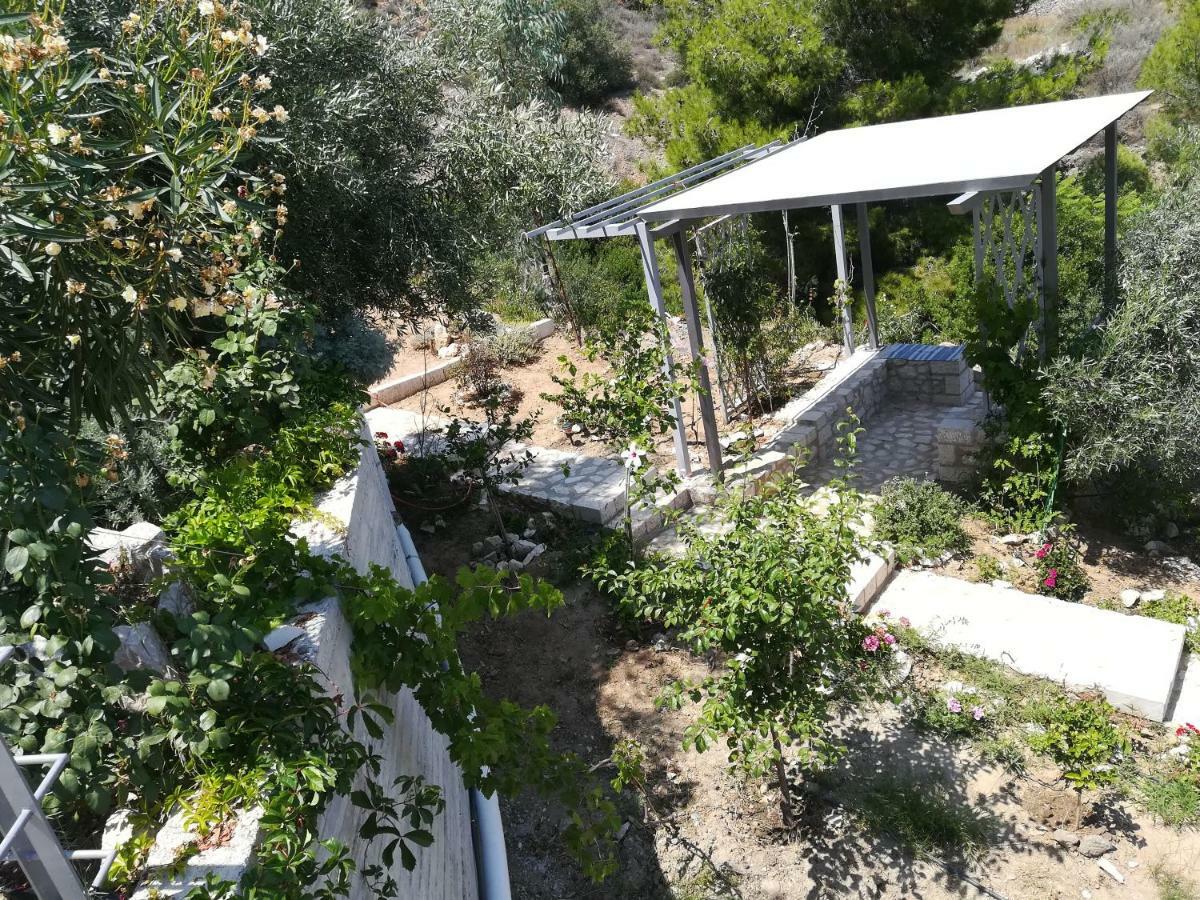 Stone House In Olive Grove Villa Толон Екстериор снимка