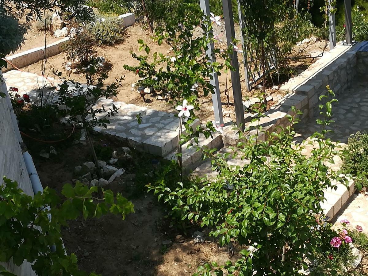Stone House In Olive Grove Villa Толон Екстериор снимка