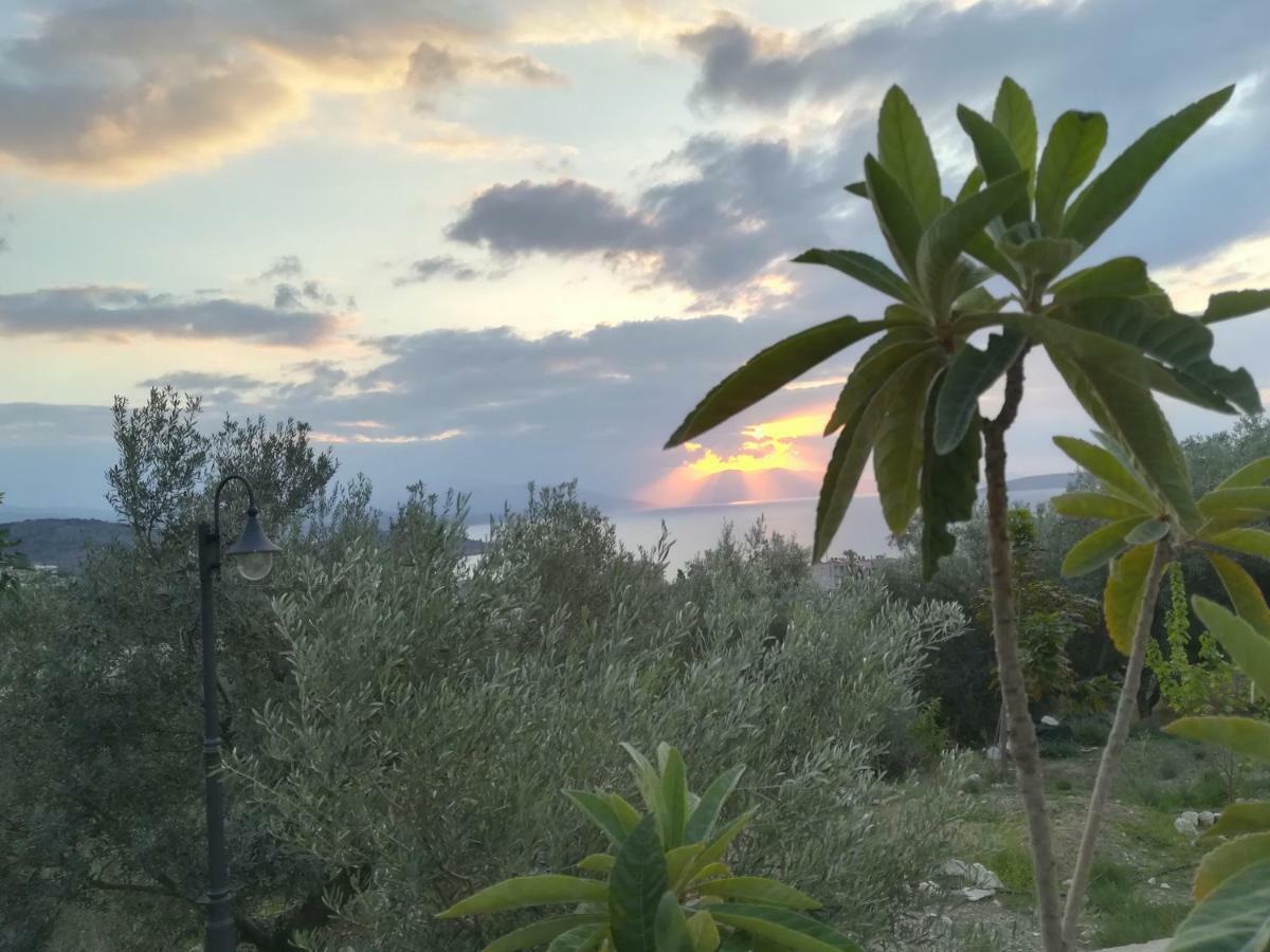 Stone House In Olive Grove Villa Толон Екстериор снимка