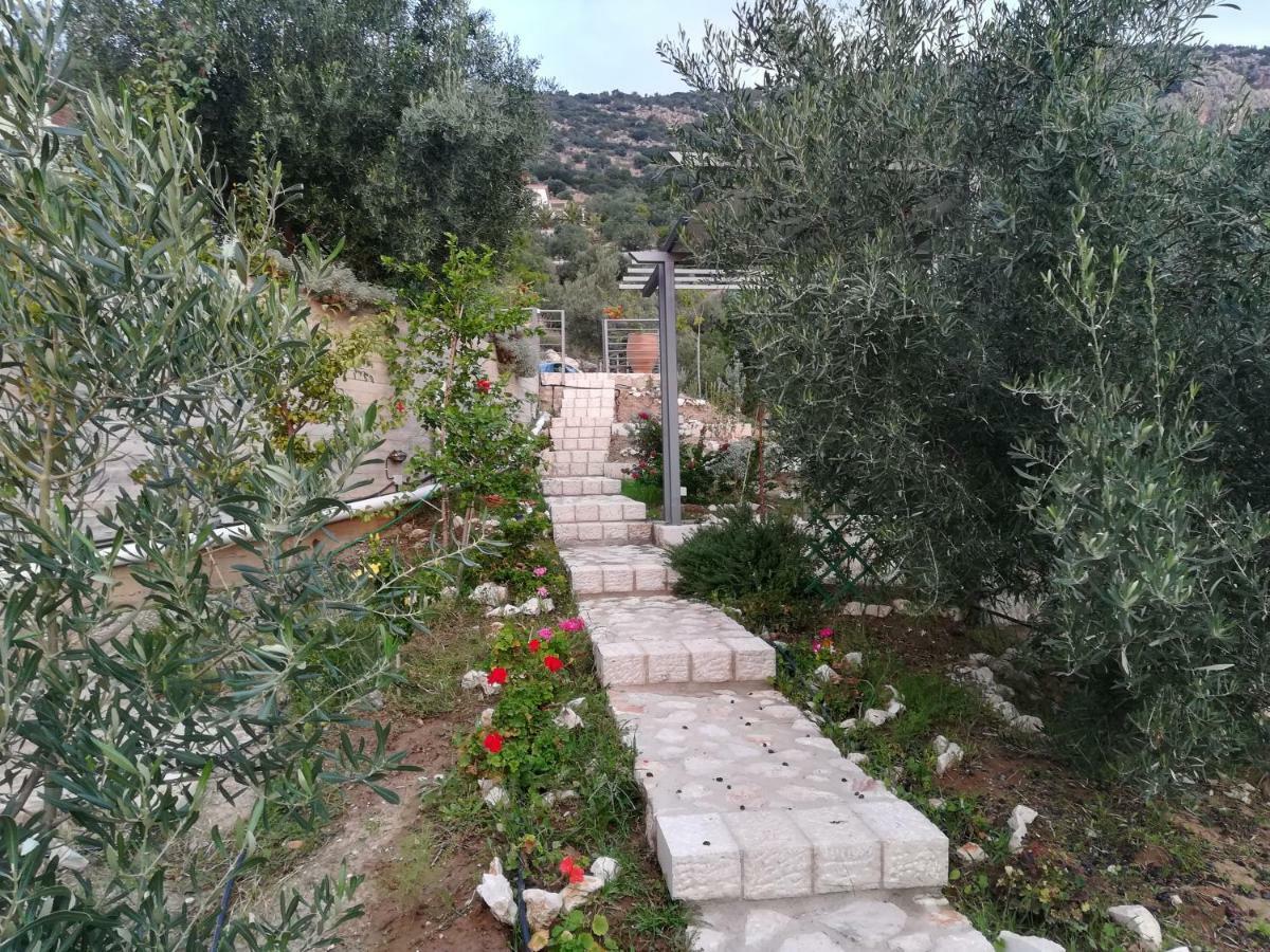 Stone House In Olive Grove Villa Толон Екстериор снимка