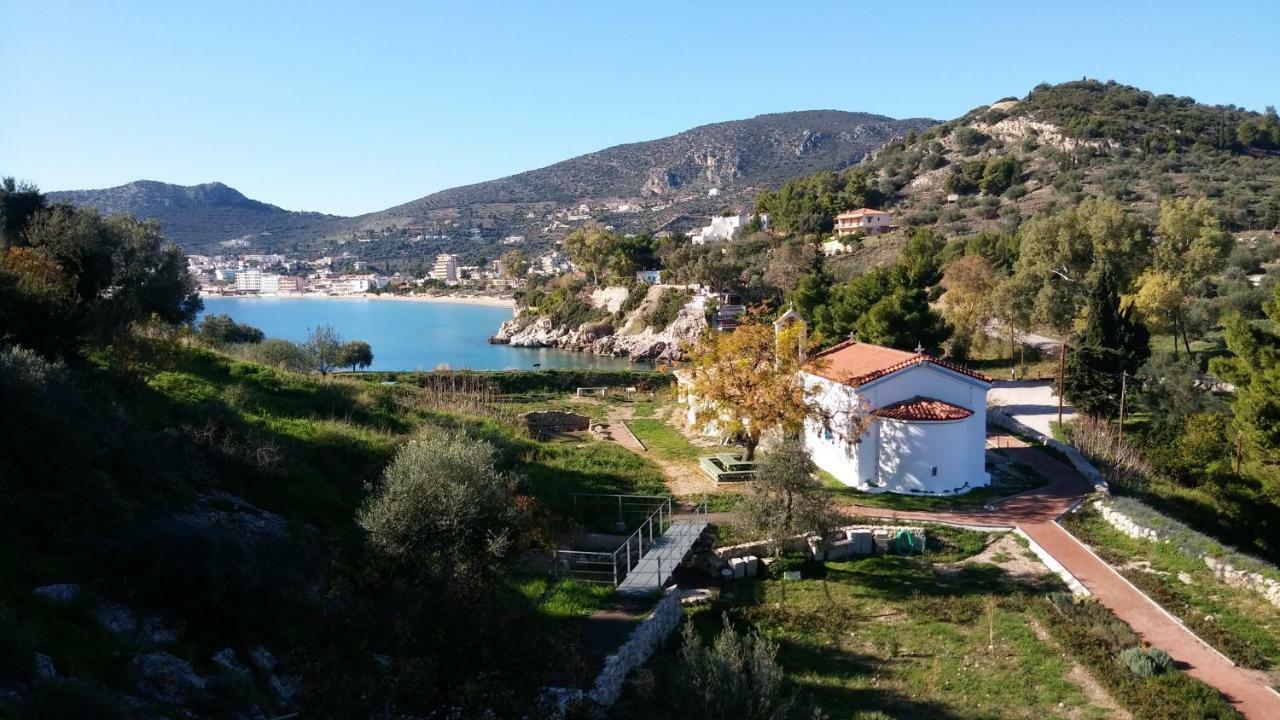 Stone House In Olive Grove Villa Толон Екстериор снимка