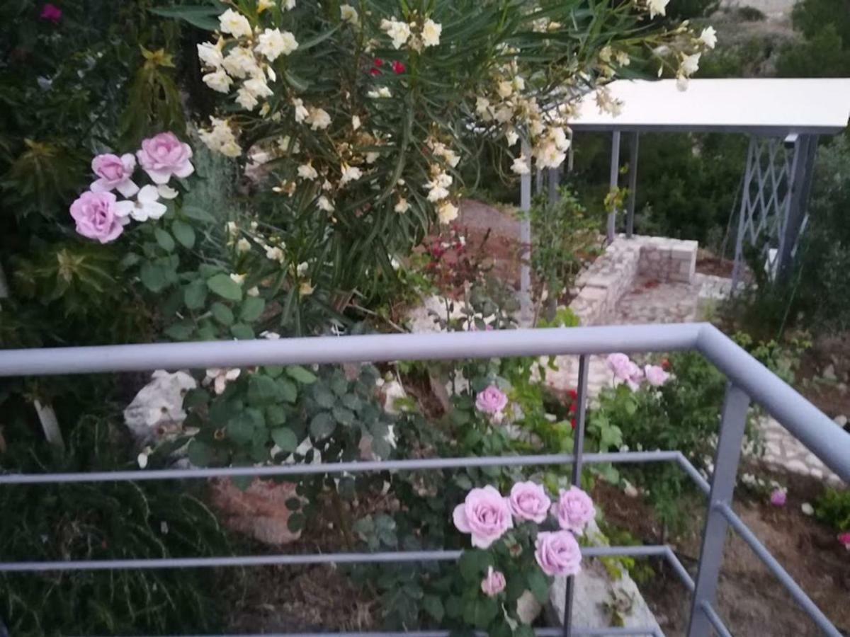 Stone House In Olive Grove Villa Толон Екстериор снимка